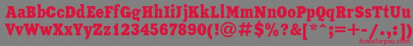 XeniacondensedRegular Font – Red Fonts on Gray Background