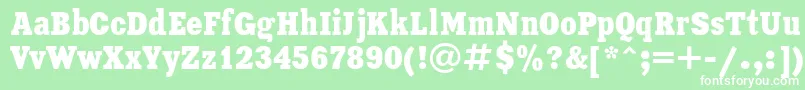 XeniacondensedRegular Font – White Fonts on Green Background