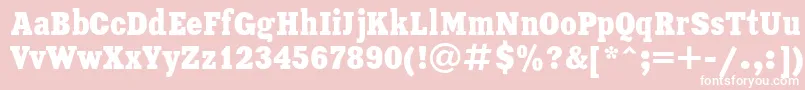XeniacondensedRegular Font – White Fonts on Pink Background