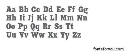 Review of the XeniacondensedRegular Font