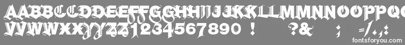 フォントHelGroteskGothiqBlack – 灰色の背景に白い文字