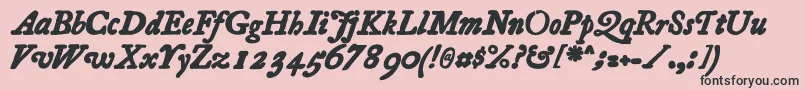 Essays1743 Bolditalic-Schriftart – Schwarze Schriften auf rosa Hintergrund