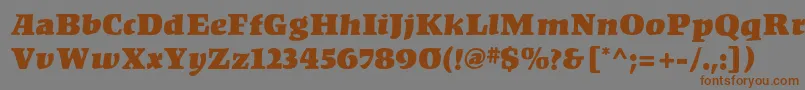 KompaktMf Font – Brown Fonts on Gray Background