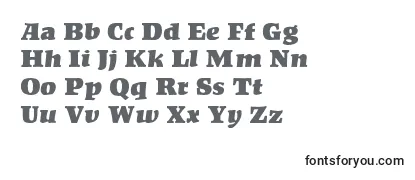 Review of the KompaktMf Font