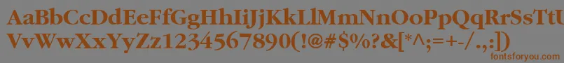 ClassicRussianBold Font – Brown Fonts on Gray Background
