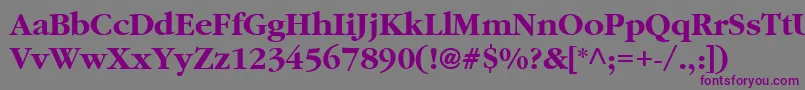 フォントClassicRussianBold – 紫色のフォント、灰色の背景