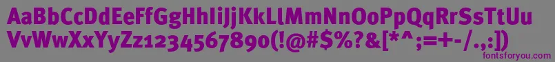 MetaproBlack-fontti – violetit fontit harmaalla taustalla