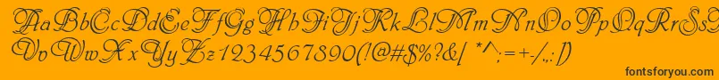 PhiladelphiaInitialsRegular Font – Black Fonts on Orange Background
