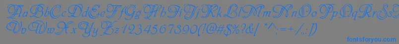 PhiladelphiaInitialsRegular Font – Blue Fonts on Gray Background