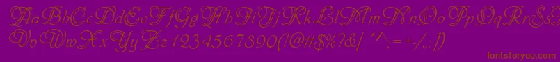 PhiladelphiaInitialsRegular Font – Brown Fonts on Purple Background