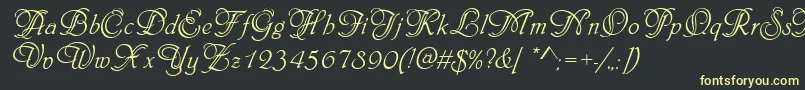 PhiladelphiaInitialsRegular Font – Yellow Fonts on Black Background