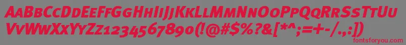 MetablackcapscItalic Font – Red Fonts on Gray Background