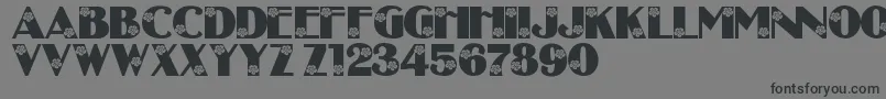 LmsCourtnisDaisys Font – Black Fonts on Gray Background