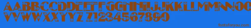 LmsCourtnisDaisys Font – Brown Fonts on Blue Background