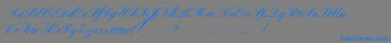 Formalscriptbold Font – Blue Fonts on Gray Background