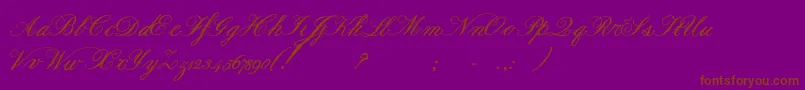 Formalscriptbold Font – Brown Fonts on Purple Background