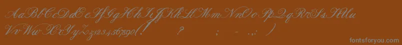 Formalscriptbold Font – Gray Fonts on Brown Background