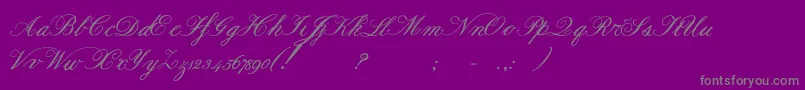 Formalscriptbold Font – Gray Fonts on Purple Background
