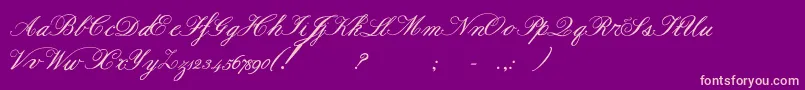 Formalscriptbold Font – Pink Fonts on Purple Background