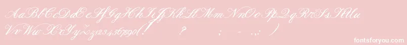 Formalscriptbold Font – White Fonts on Pink Background