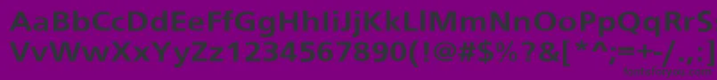 SchranerextBol Font – Black Fonts on Purple Background