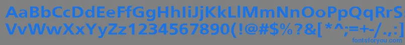 フォントSchranerextBol – 灰色の背景に青い文字