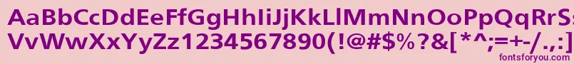 SchranerextBol Font – Purple Fonts on Pink Background