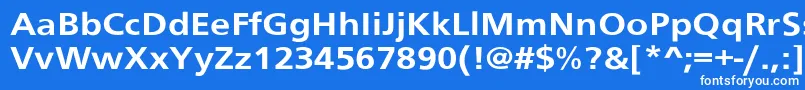 SchranerextBol Font – White Fonts on Blue Background