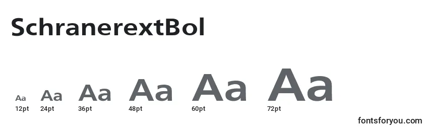Размеры шрифта SchranerextBol