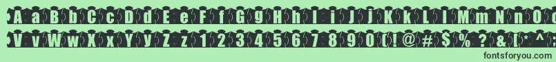 MashyJigsaw Font – Black Fonts on Green Background