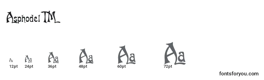 Размеры шрифта AsphodelTM