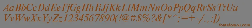 NewtonbttItalic Font – Brown Fonts on Gray Background