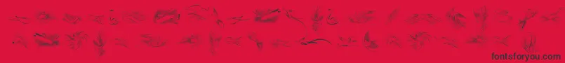 PenmanshipBirdsFree-fontti – mustat fontit punaisella taustalla