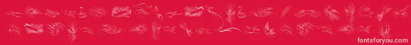 PenmanshipBirdsFree Font – Pink Fonts on Red Background