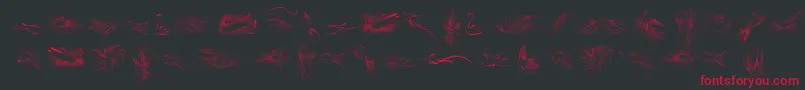 PenmanshipBirdsFree Font – Red Fonts on Black Background