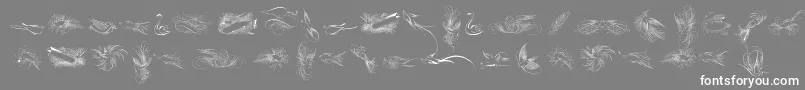 PenmanshipBirdsFree Font – White Fonts on Gray Background