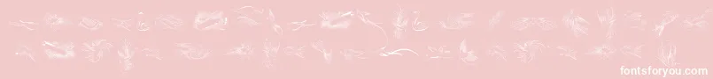 PenmanshipBirdsFree Font – White Fonts on Pink Background