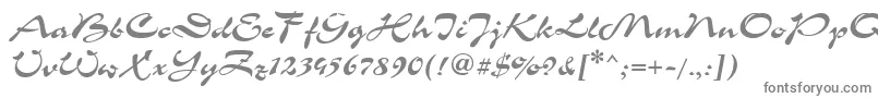 Шрифт Corri15 – серые шрифты на белом фоне