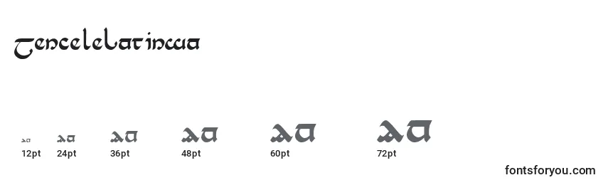 Размеры шрифта TenceleLatinwa
