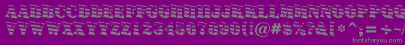 Czcionka Signboardtitulgrddn – szare czcionki na fioletowym tle