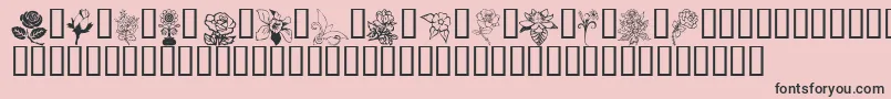Flord Font – Black Fonts on Pink Background