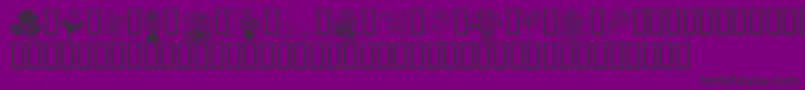 Flord Font – Black Fonts on Purple Background