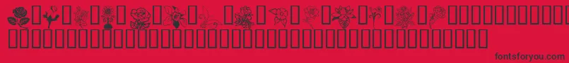 Flord Font – Black Fonts on Red Background