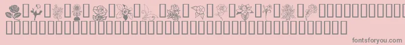Flord Font – Gray Fonts on Pink Background