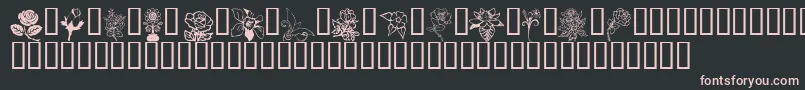 Flord Font – Pink Fonts on Black Background