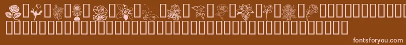 Flord Font – Pink Fonts on Brown Background