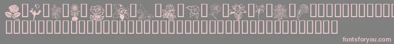 Flord Font – Pink Fonts on Gray Background