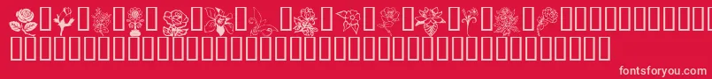 Flord Font – Pink Fonts on Red Background