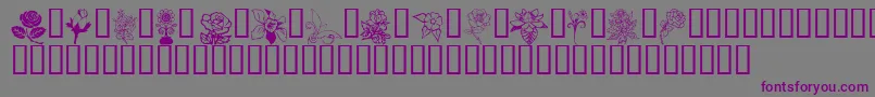 フォントFlord – 紫色のフォント、灰色の背景