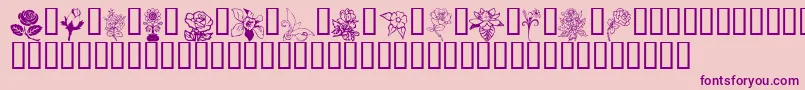Flord Font – Purple Fonts on Pink Background